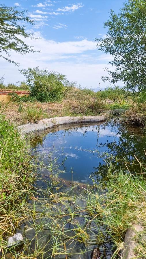 Africa Safari Lake Natron Camping Mtowabaga Exteriör bild